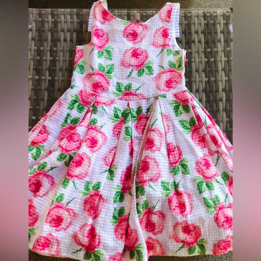 Janie and Jack Pink Roses Dress